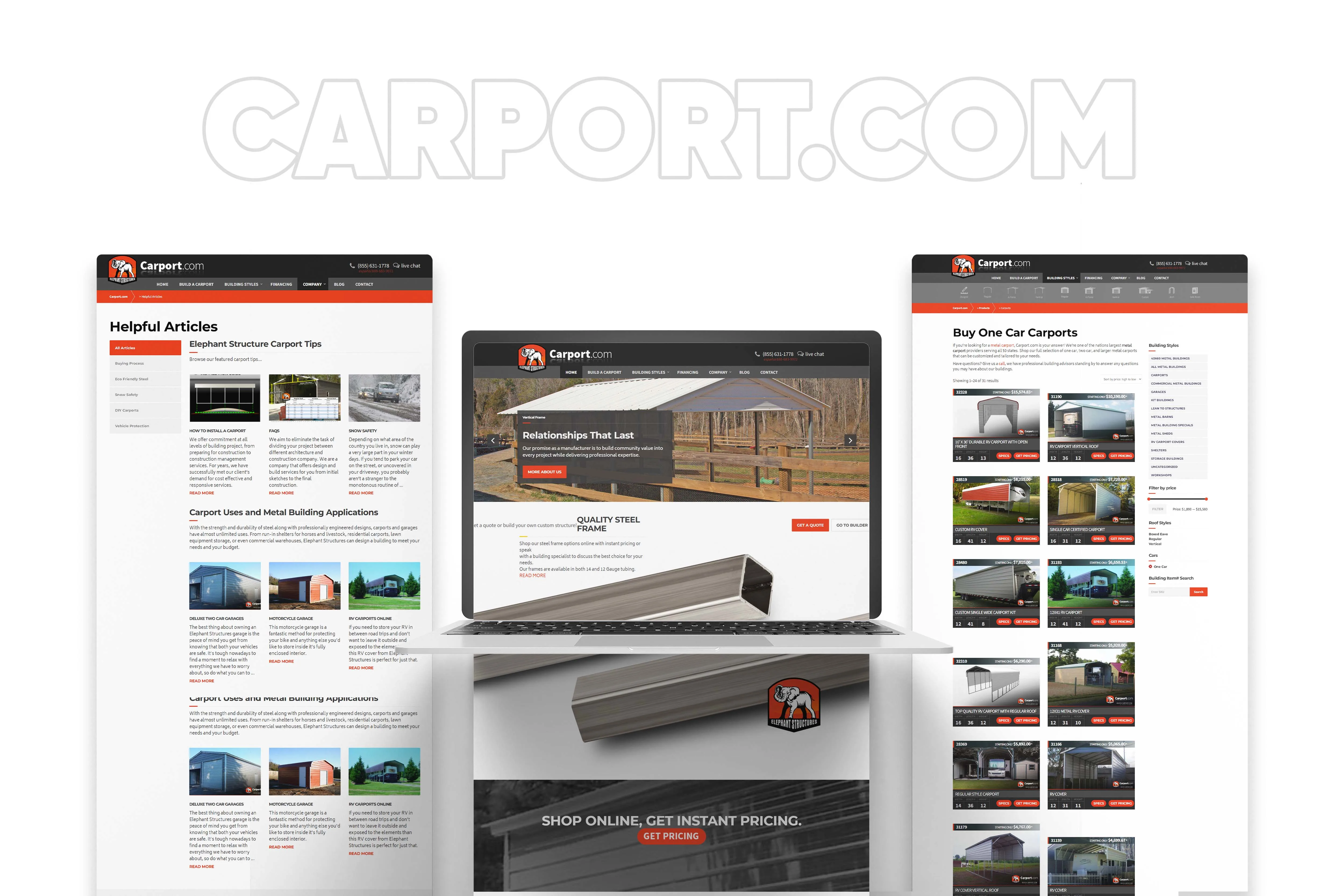 About the Website